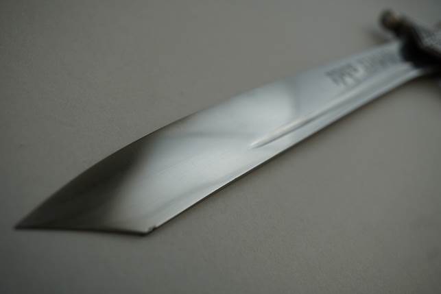A close-up of a knife

Description automatically generated with medium confidence