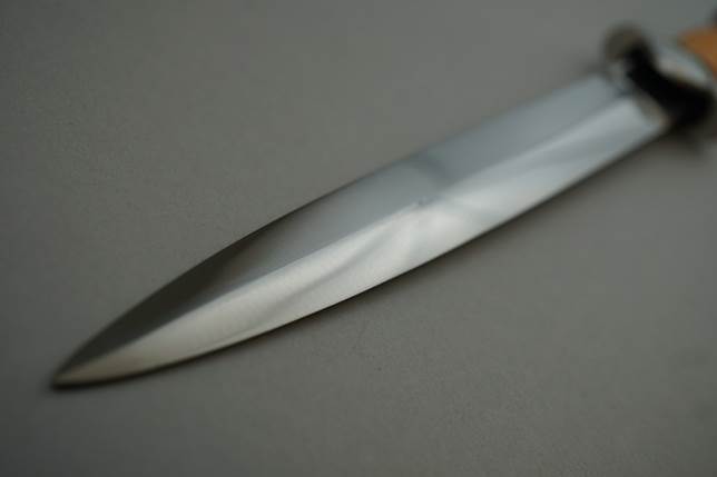A close-up of a knife

Description automatically generated