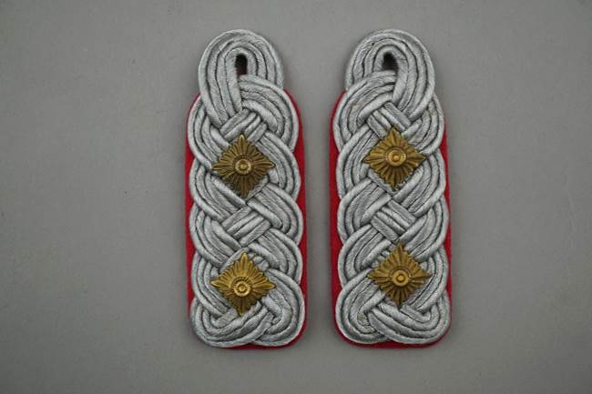 A pair of military insignia

Description automatically generated