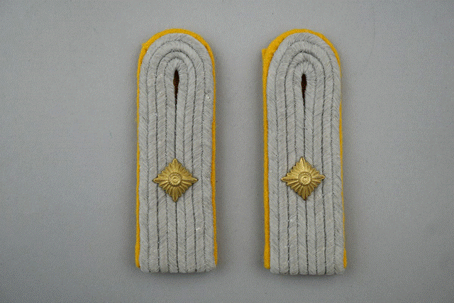 A pair of grey and yellow military insignia

Description automatically generated