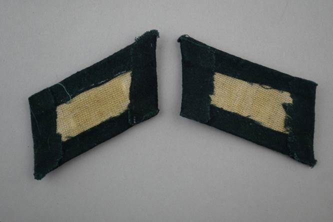 A pair of green fabric patches

Description automatically generated with medium confidence