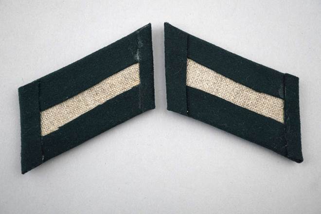 Close-up of a pair of military insignia

Description automatically generated