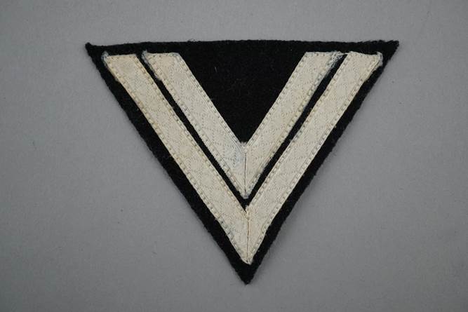 A black and white triangle patch

Description automatically generated