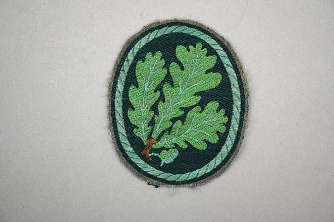 A patch with a leaf design

Description automatically generated