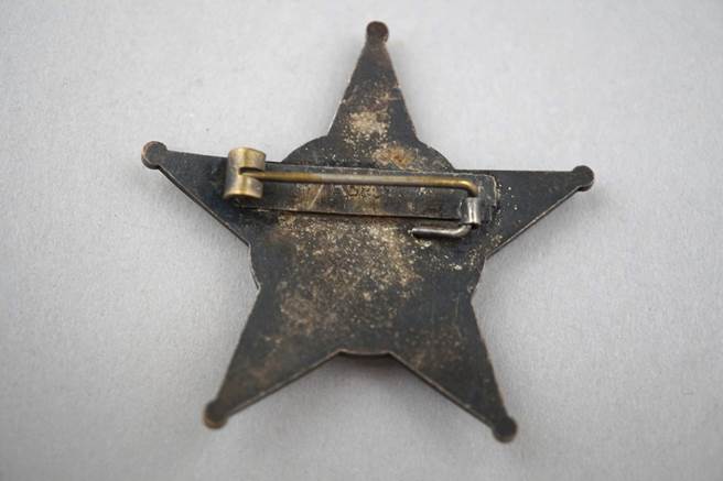 A close-up of a star badge

Description automatically generated