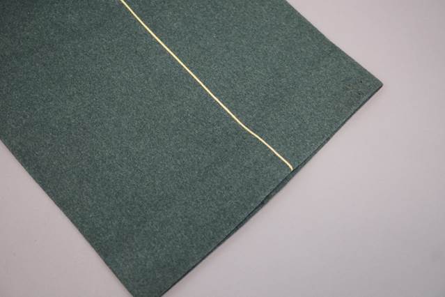 A close-up of a green cloth

Description automatically generated