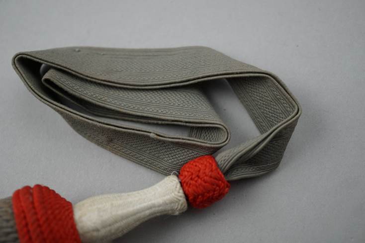 A grey and red belt

Description automatically generated