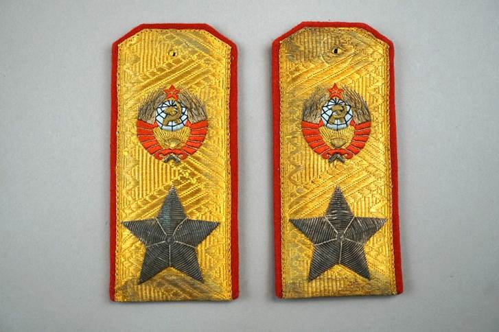 A pair of gold and red embroidered insignia

Description automatically generated