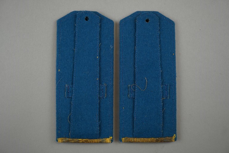 A pair of blue fabric shoulder straps

Description automatically generated