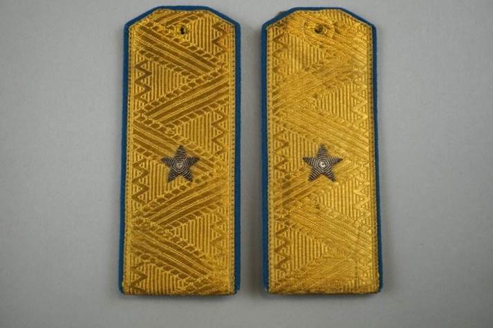 A pair of gold and blue shoulder straps

Description automatically generated