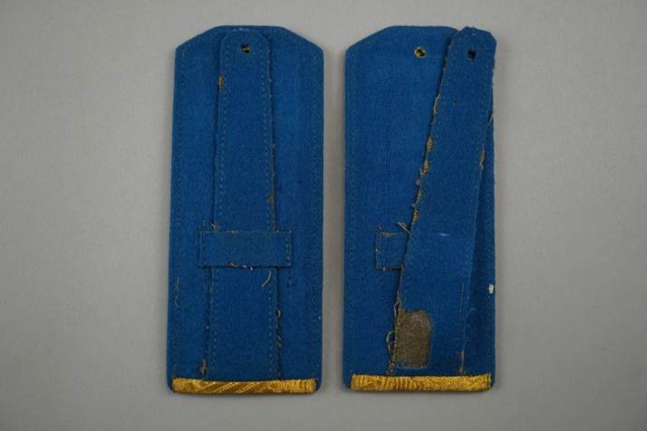 A pair of blue and yellow shoulder straps

Description automatically generated