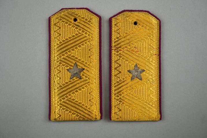 A pair of gold military insignia

Description automatically generated