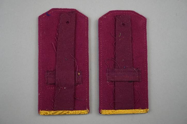 A pair of purple and yellow shoulder straps

Description automatically generated