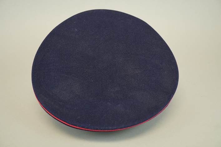 A blue and red round object

Description automatically generated with medium confidence