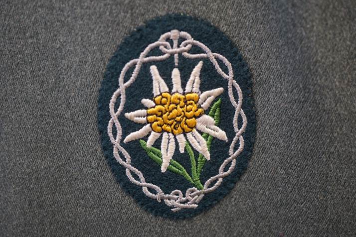 A close-up of a flower patch

Description automatically generated