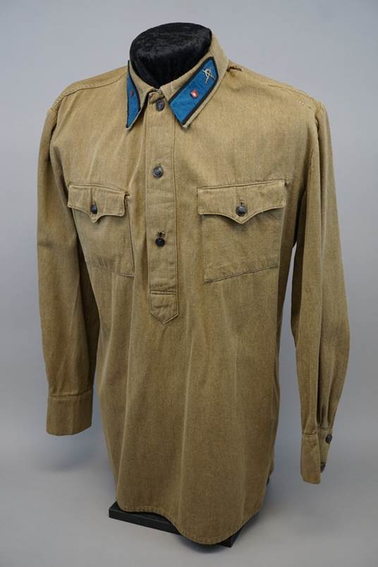 A brown shirt with blue collar

Description automatically generated