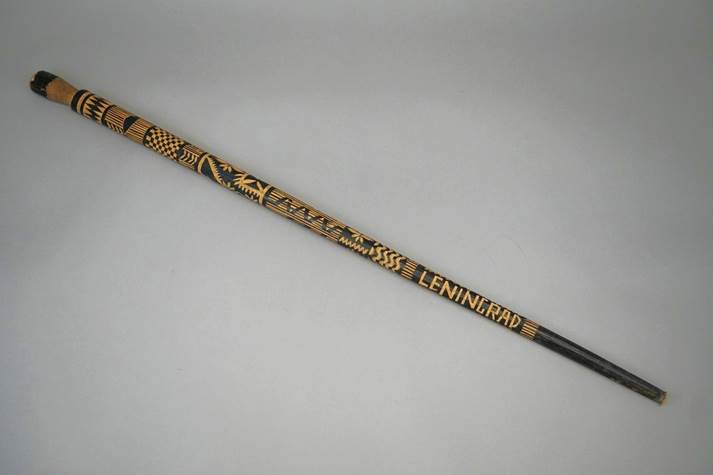 A black and yellow cane

Description automatically generated