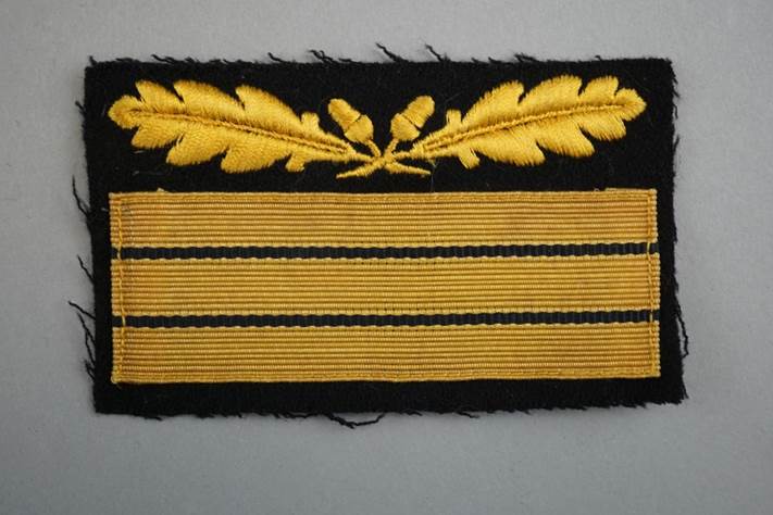 A yellow and black patch with black stripes

Description automatically generated