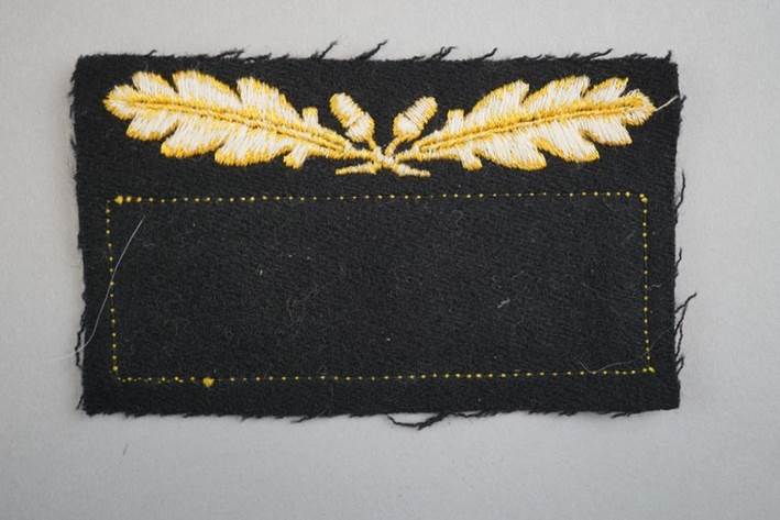 A black rectangular patch with a gold leaf design

Description automatically generated