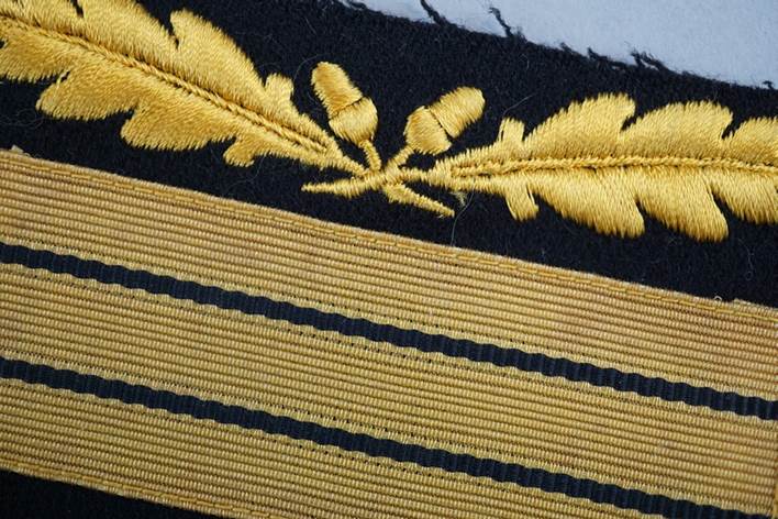 Close-up of a black and gold fabric

Description automatically generated