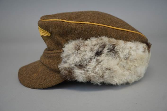 A brown hat with white fur

Description automatically generated