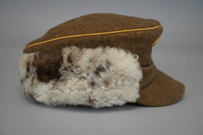 A brown hat with white fur

Description automatically generated