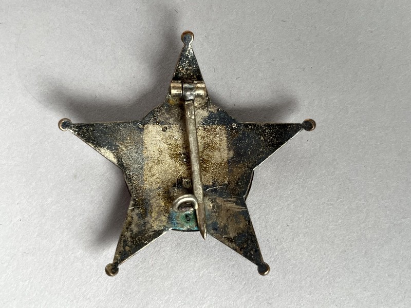 A star shaped badge on a white background

AI-generated content may be incorrect.
