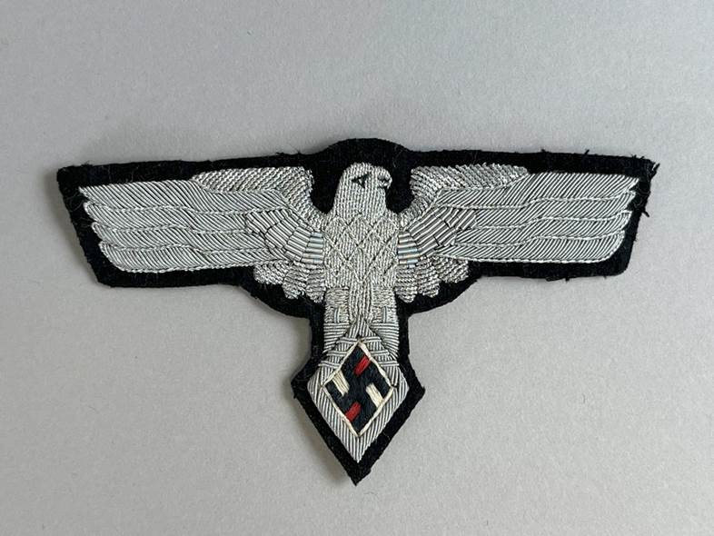 A black and white eagle patch

AI-generated content may be incorrect.