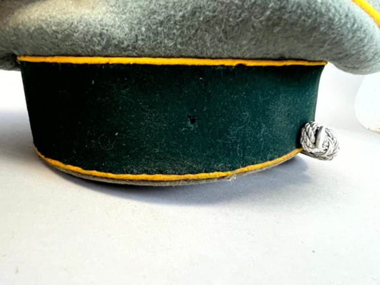 A close up of a hat

AI-generated content may be incorrect.