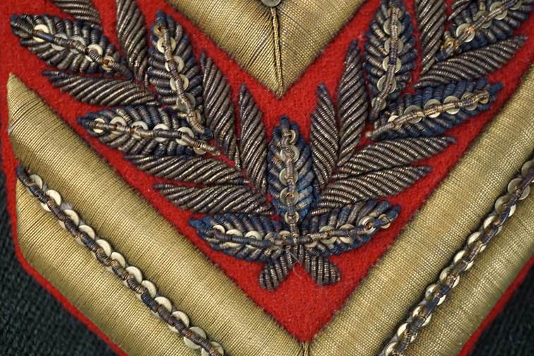 A close-up of a red and gold patch

AI-generated content may be incorrect.