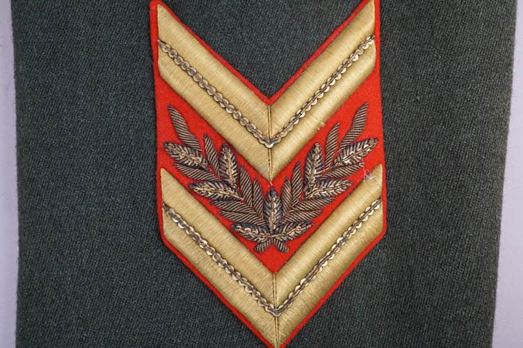 A close-up of a red and gold patch

AI-generated content may be incorrect.