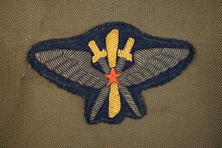 A patch of a military insignia

AI-generated content may be incorrect.