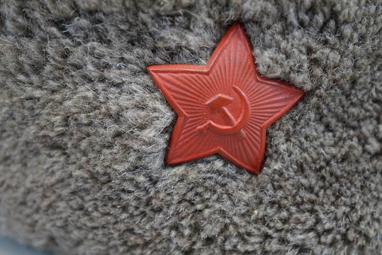 A red star on a grey fur

AI-generated content may be incorrect.