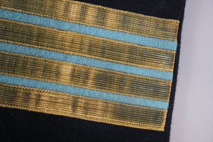 A close-up of a gold and blue patch

AI-generated content may be incorrect.