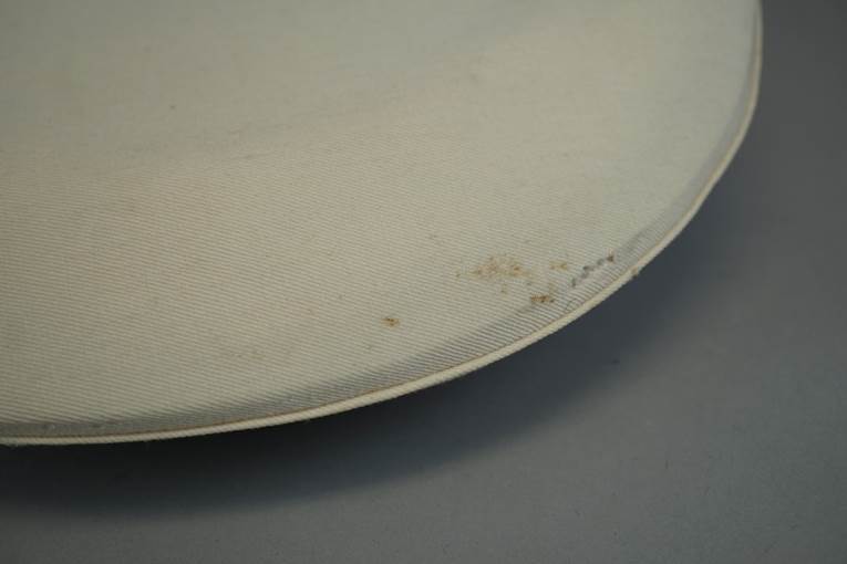 A close-up of a white plate

AI-generated content may be incorrect.