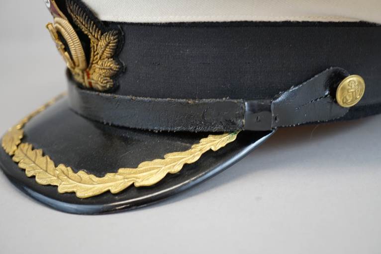 A close-up of a hat

AI-generated content may be incorrect.