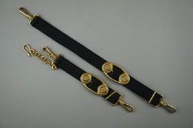 A black strap with gold buckles

Description automatically generated