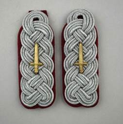 A pair of military insignia

Description automatically generated