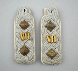 A pair of shoulder straps with gold numbers

Description automatically generated