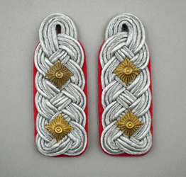 A pair of military insignia

Description automatically generated