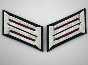 Close-up of a military insignia

Description automatically generated