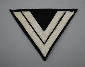 A black and white triangle patch

Description automatically generated