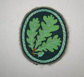 A patch with a leaf design

Description automatically generated