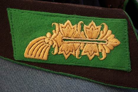 A close-up of a green and brown patch

AI-generated content may be incorrect.