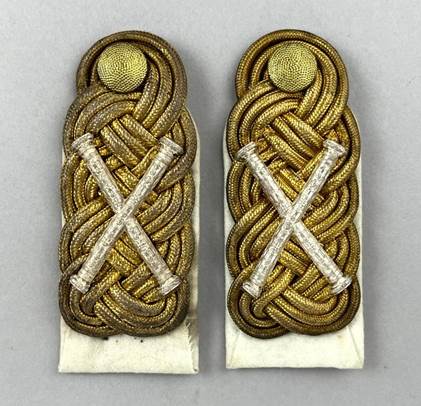 A pair of gold and white insignia

AI-generated content may be incorrect.