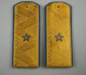 A pair of gold and blue shoulder straps

Description automatically generated