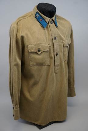 A brown shirt with blue collar

Description automatically generated