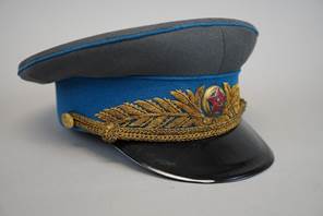 A hat with a gold and blue band

Description automatically generated