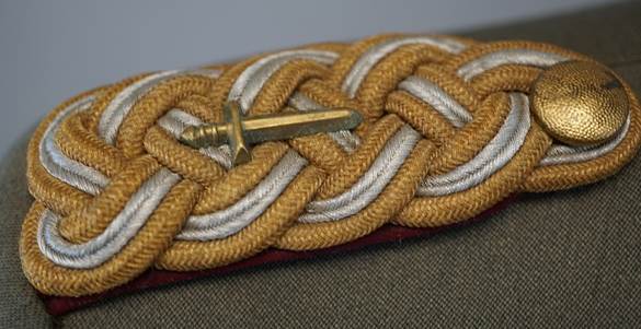 A snake coiled up

Description automatically generated with low confidence