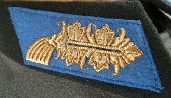 A picture containing indoor, cloth, accessory

Description automatically generated